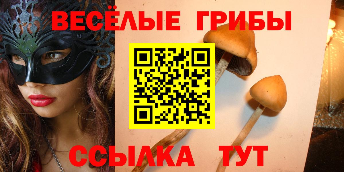 Галлюциногенные грибы MAGIC MUSHROOMS  Вход с VPN  купить   Сосновый Бор  Галлюциногенные грибы мицелий 